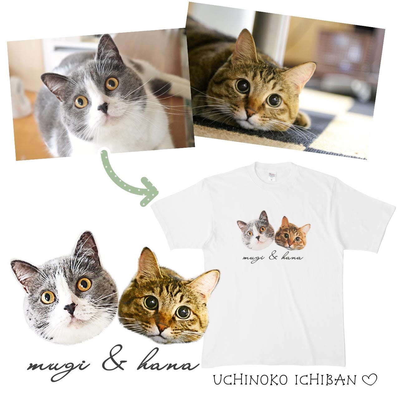 猫さん写真で作るTシャツ（猫 ネコ ねこ 愛猫写真で♪） | ねこねこ