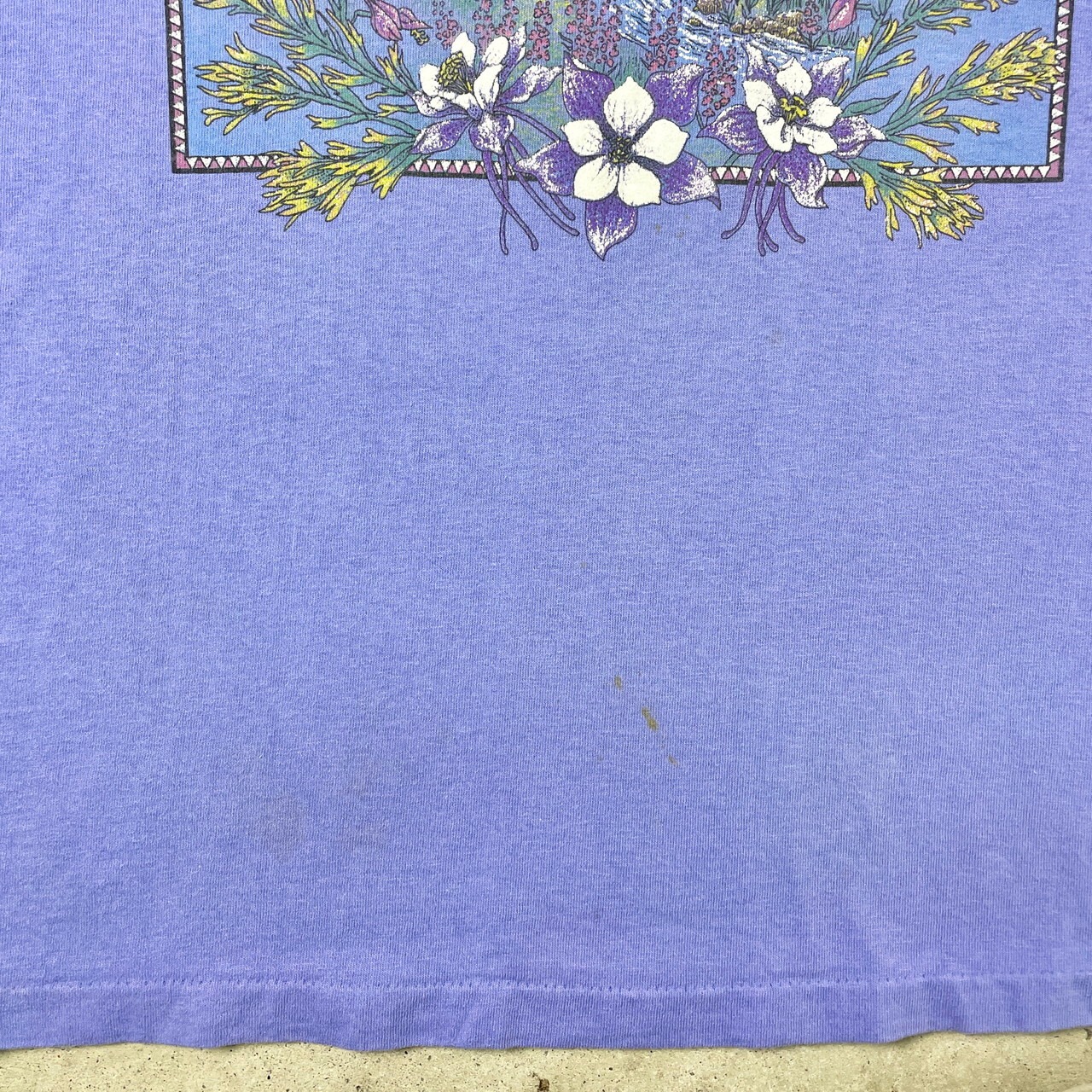 90年代 USA製 ヨセミテ国立公園 スーベニア プリントTシャツ メンズM 