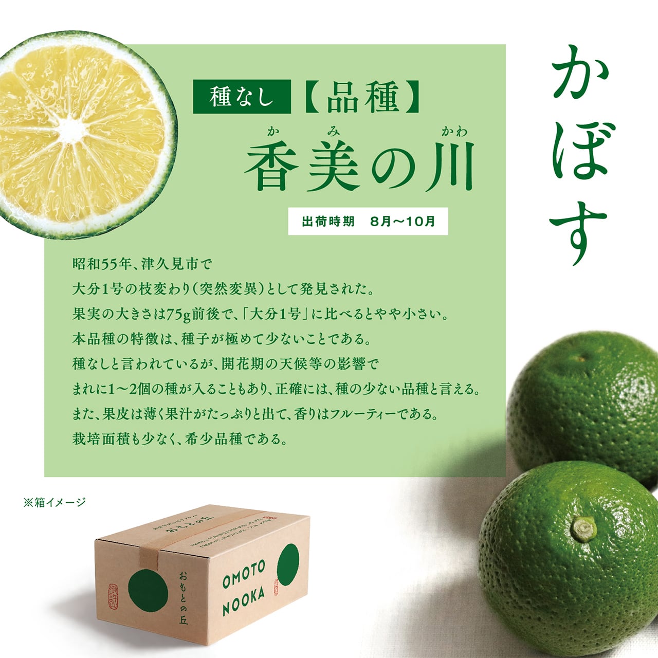 種無しかぼす　風味豊か　大変便利　10 ㎏ お徳用・訳あり品】超便利な 種無しかぼす約10kg | 大分宇佐かぼす