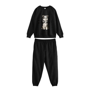 Border Collie　ボーダーコリー フェードセットアップ
