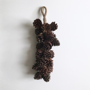 種と実のドライの飾り（松かさ）｜Seed and Fruit Dry Ornament (Pine Cone)