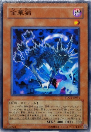 金華猫【TDGS-JP034】[N]