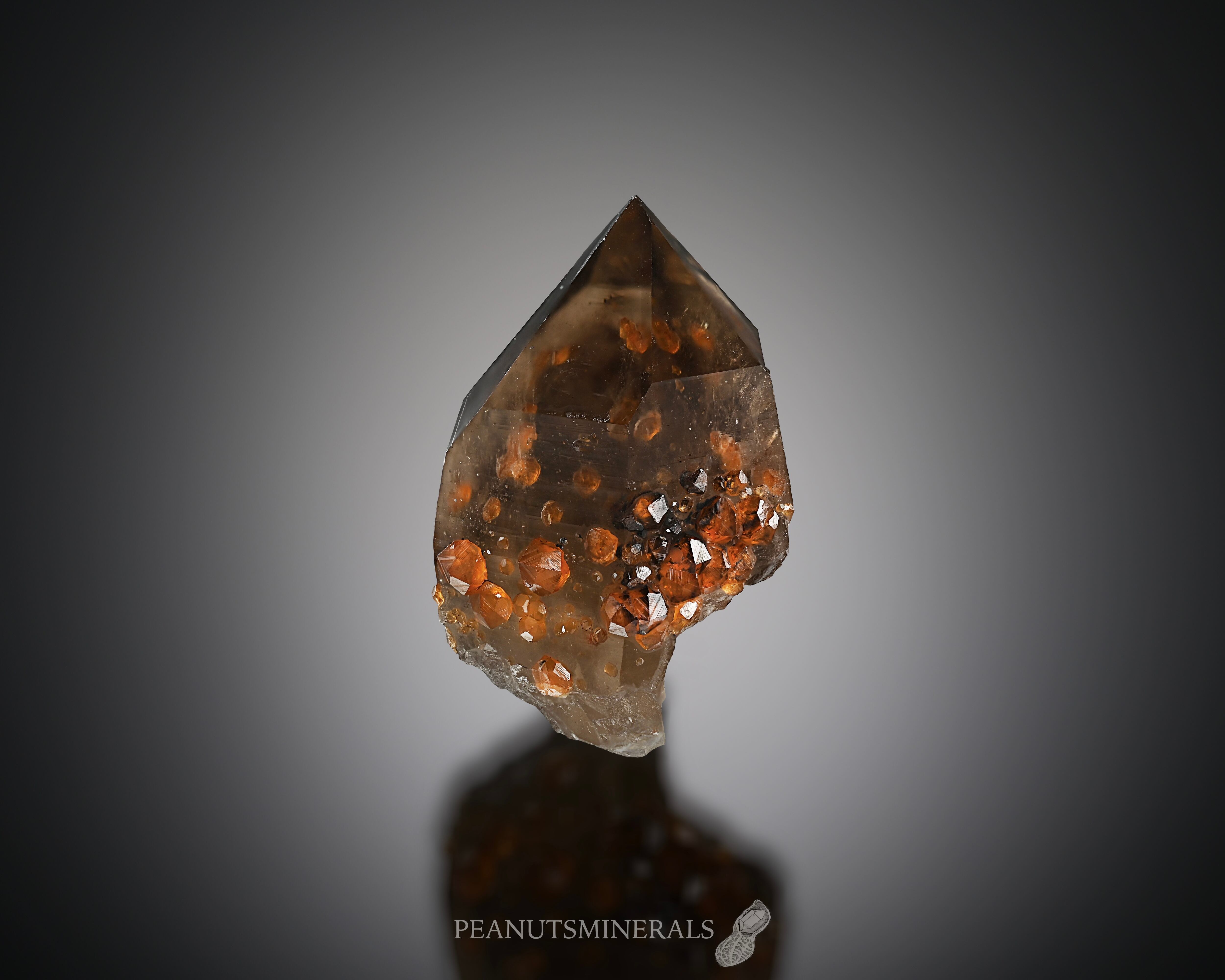 スペサルティン / スモーキークォーツ【Spessartine in Smoky Quartz