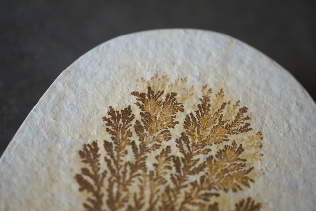 デンドライト 忍石 Dendritic limestone 1305