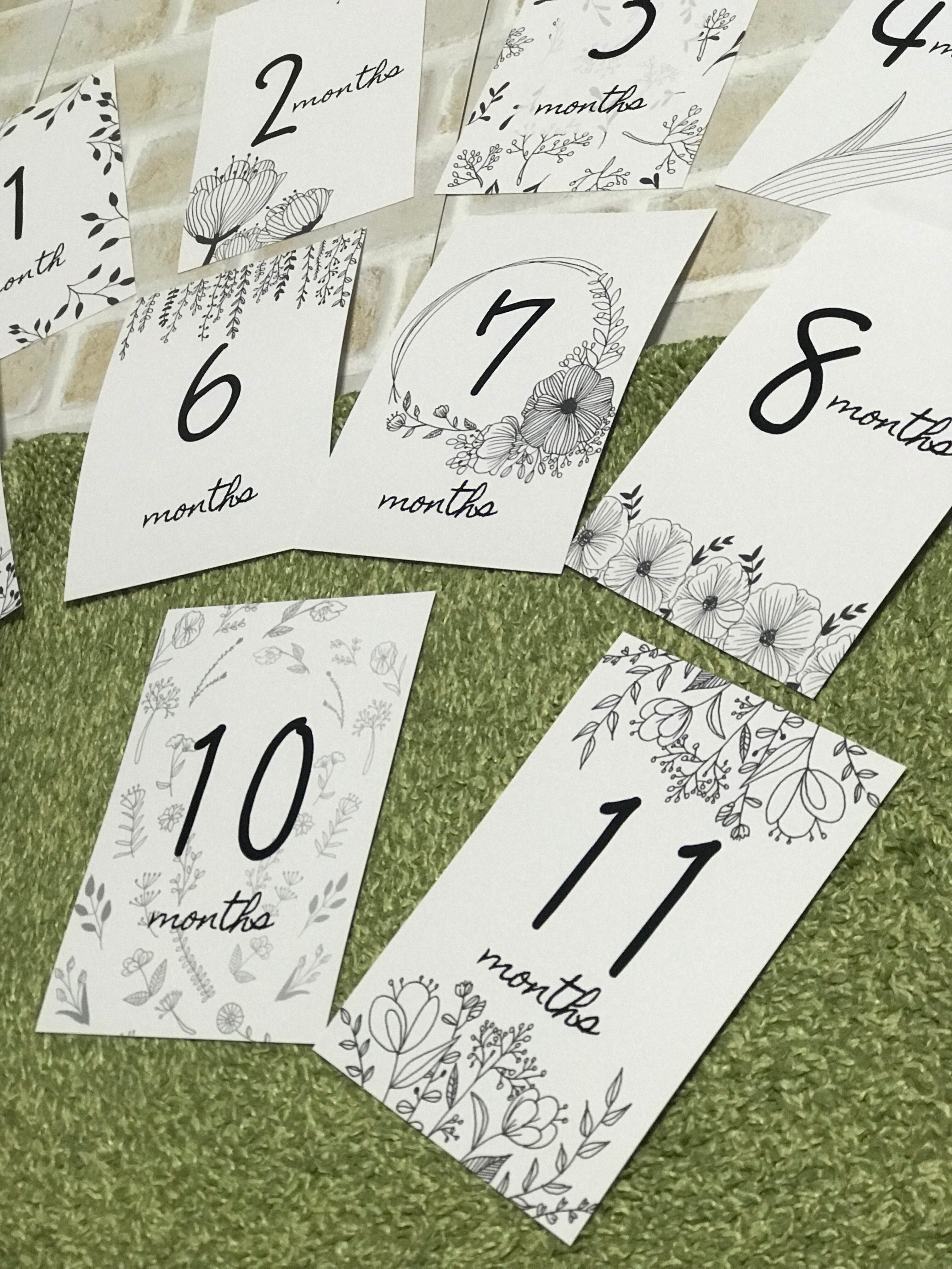 送料無料 モノトーンな植物のマンスリーカード 月齢カード Kflower 送料無料 モノトーンな植物のマンスリーカード 月齢カード Kflower