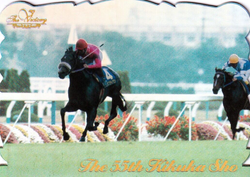 第56回 菊花賞：マヤノトップガン(金文字ノーマル)「The Victory 1999