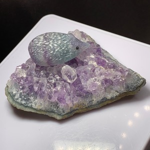 7.ウルグアイ産アメジストクラスターに住み着いているフローライトハリネズミさん