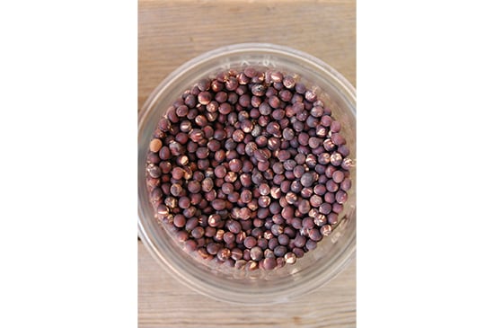 【鮫川村由来】赤大豆・200g