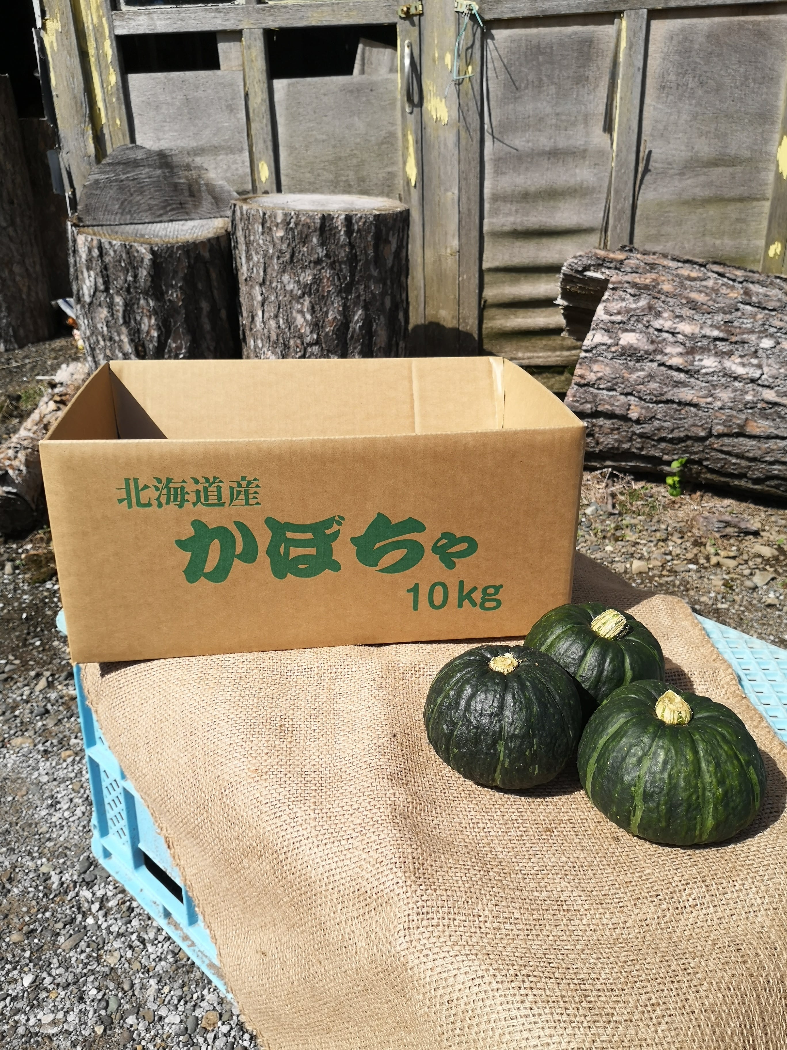 北海道富良野産坊ちゃんかぼちゃ 10kg【9月中旬～10月発送予定