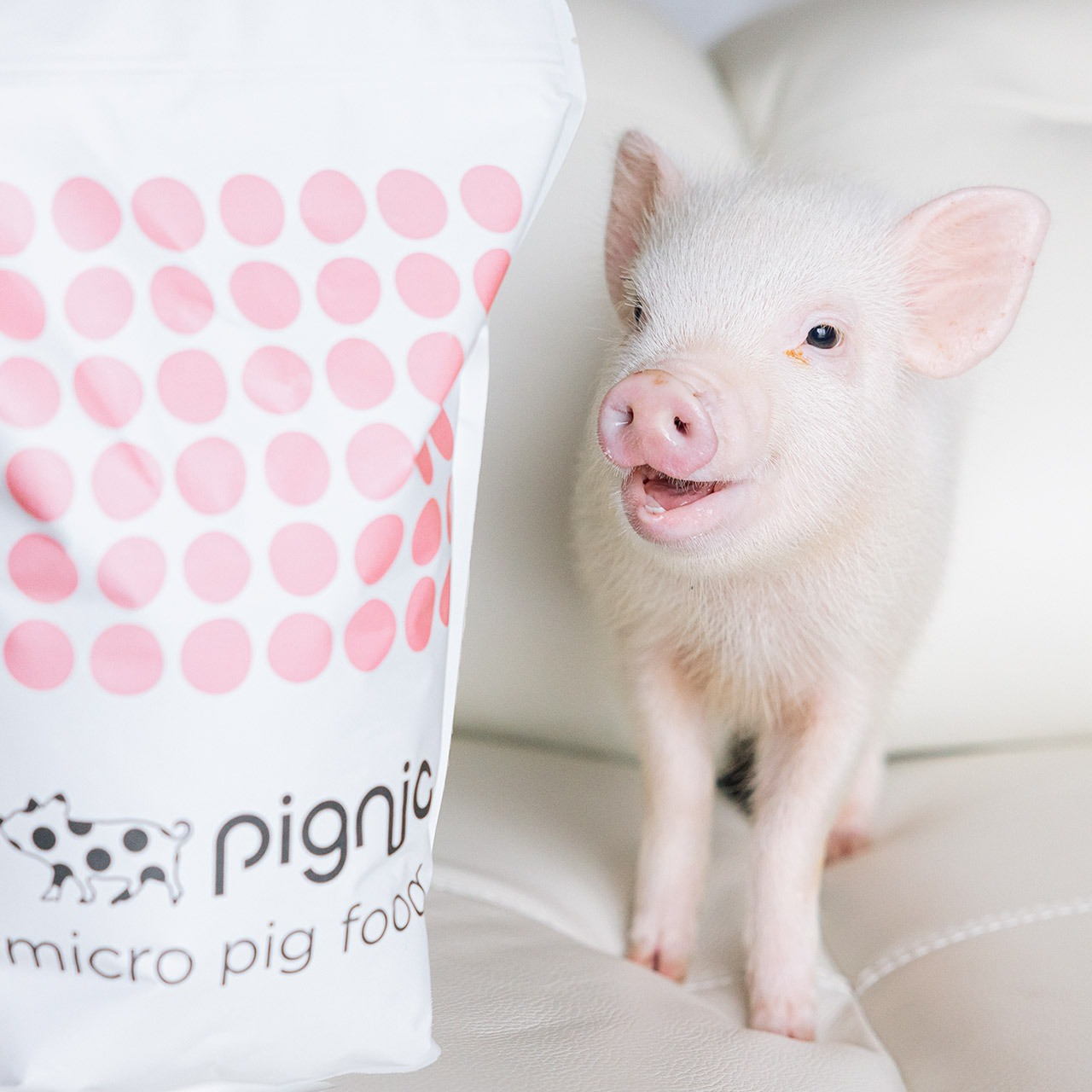 ぶたちゃん????様♡専用 とろし 