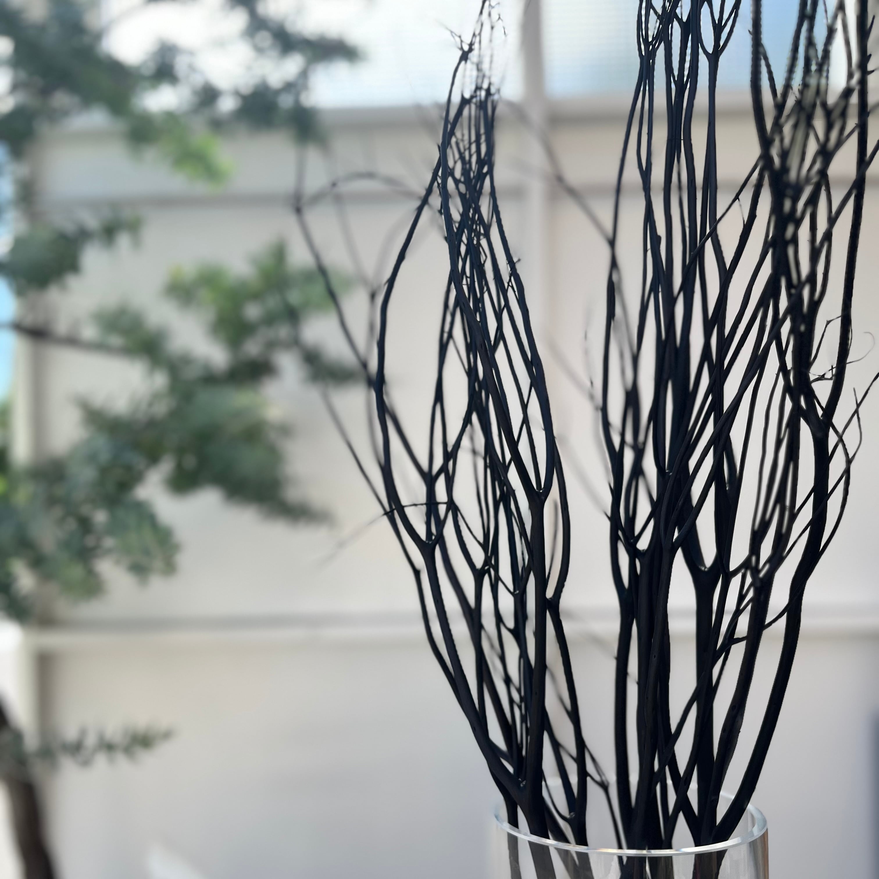 TSUKIGIみつまた 80cm前後 染色ブラック 枝物インテリア クリスマス