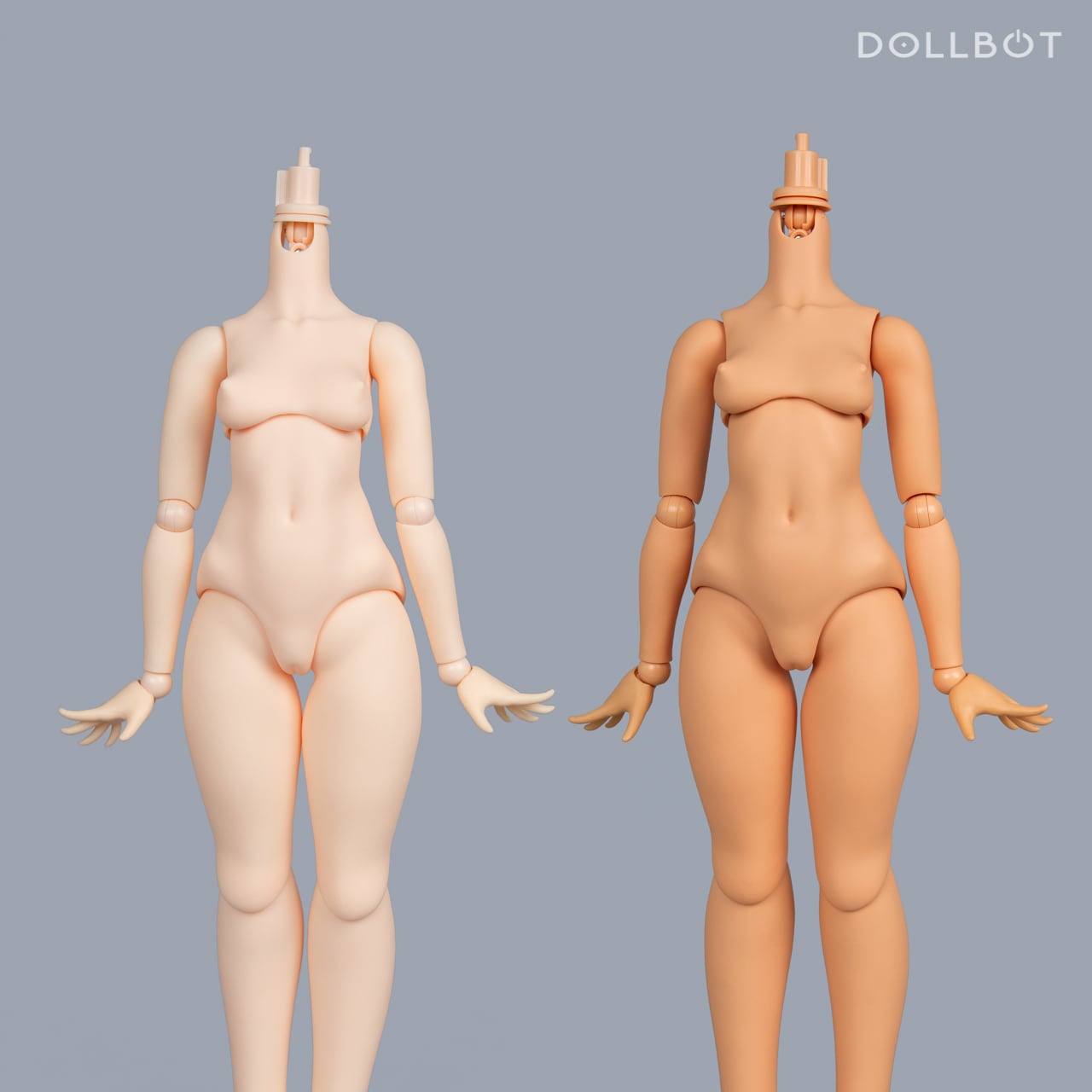 DBクラシックボディ（高可動ボディタイプ） | DOLLBOT