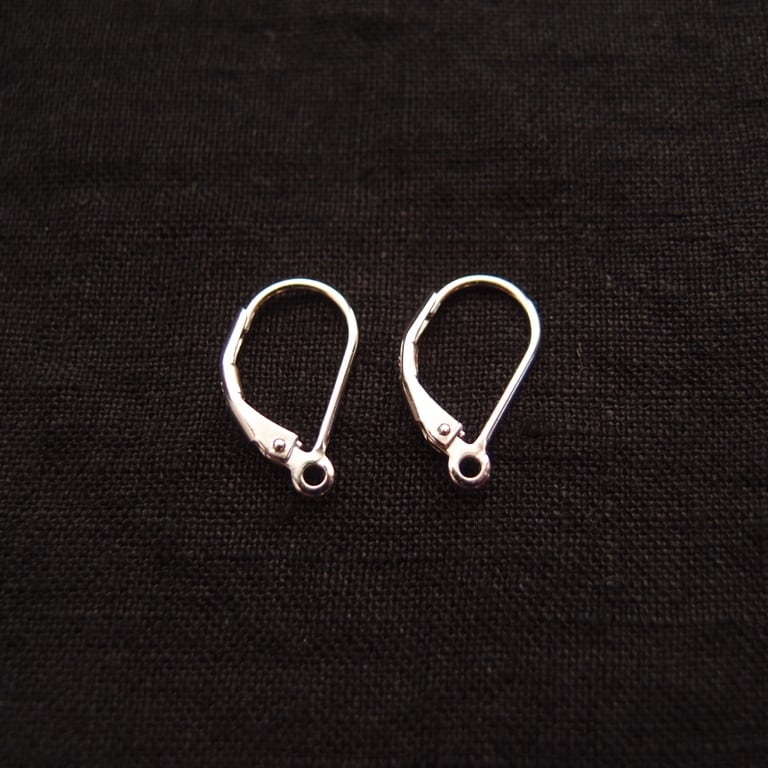 SV】Tanzanite × Gray Moonstone × Kyanite Earrings／グレー