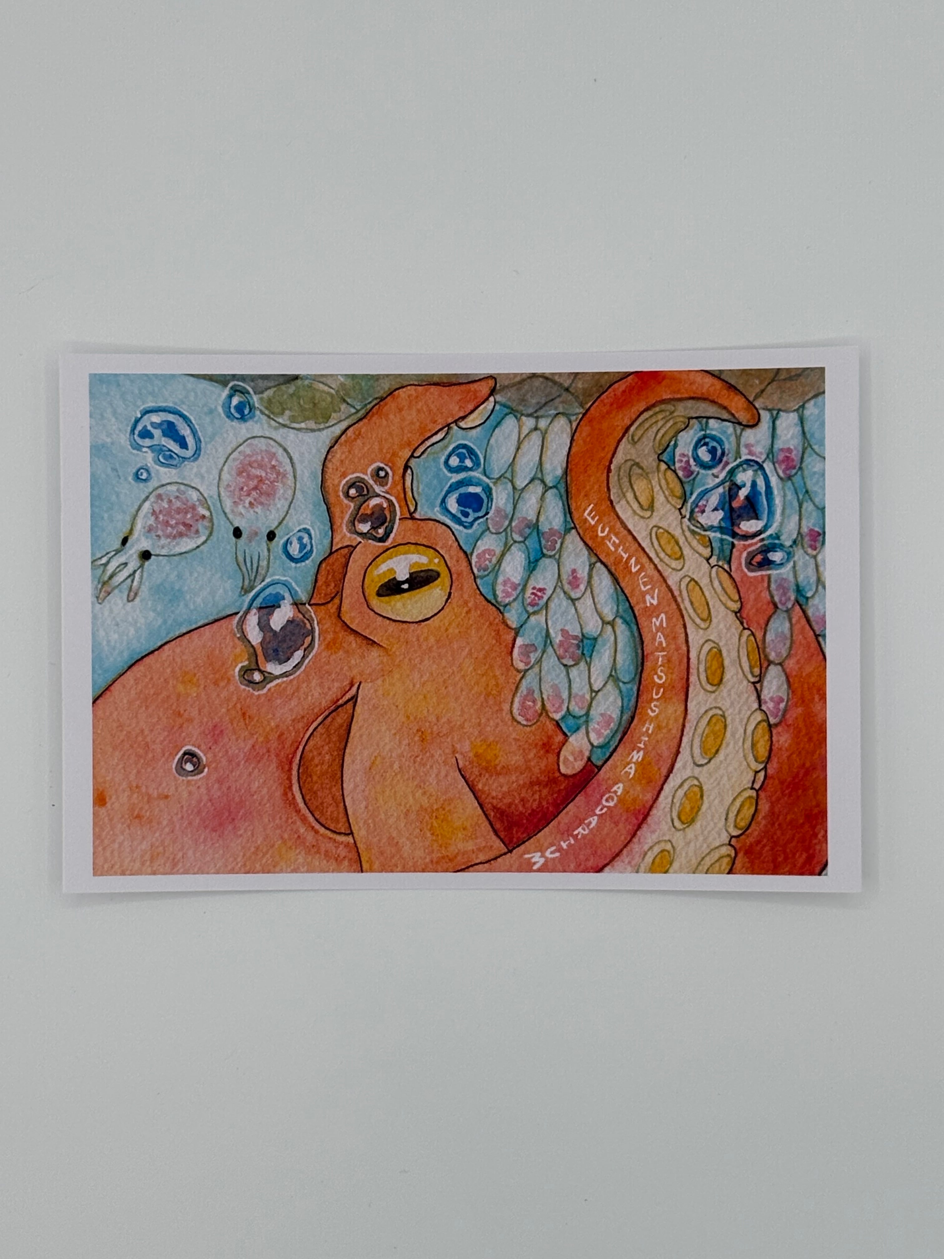 ポストカード【全13種類】 | 越前松島水族館 ONLINE SHOP