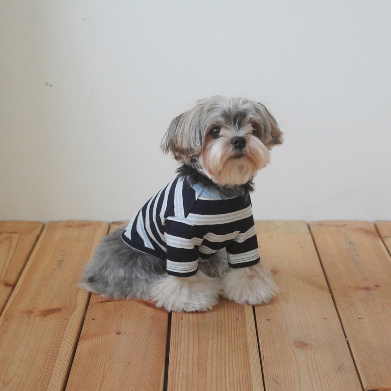 【予約】[ togethering ] Multi Striped T-Shirt｜Navy - 4