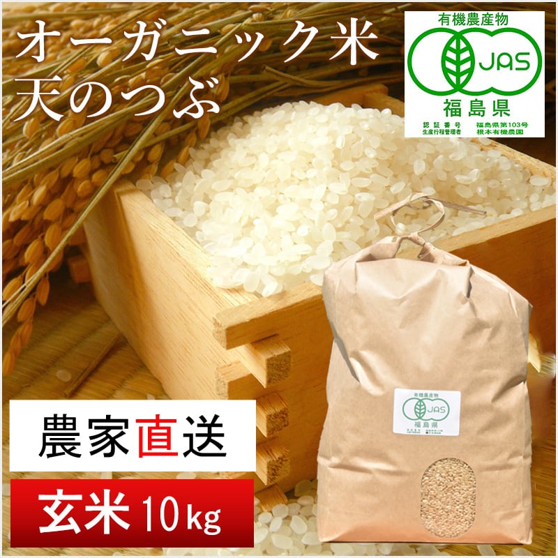JAS有機米 天のつぶ（玄米）10kg | 根本有機農園