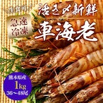 【一級品厳選】活き〆瞬間冷凍車えび 1kg (36～48尾)熊本県産 水揚げ即瞬間冷凍で鮮度・品質抜群☆生食可！250g×4パック急速冷凍車エビ /クルマエビ/車えび/刺し身可