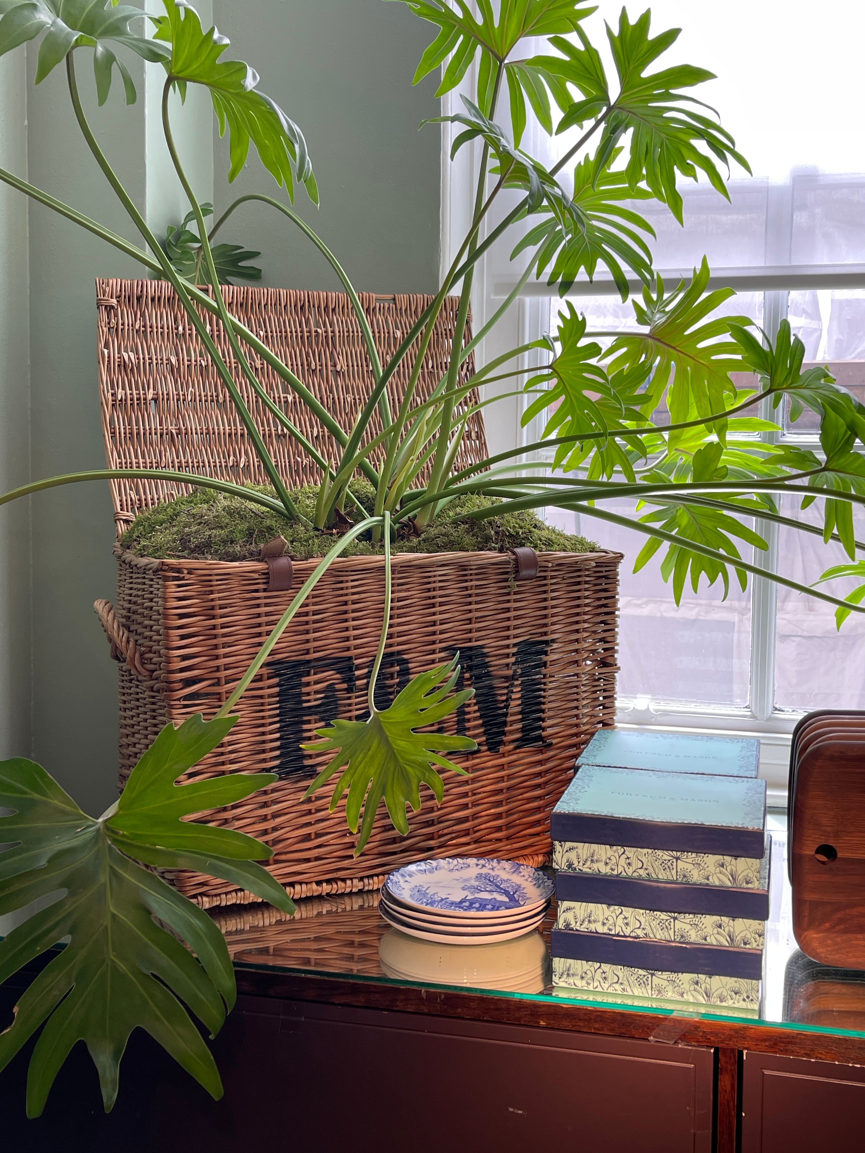 ◇ホワイトラビット◇アリス◇マグカップ◇不思議の国のアリス