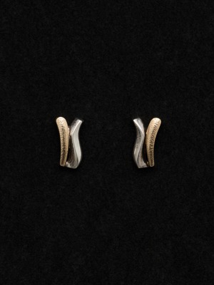 Two Tone Wave Earrings