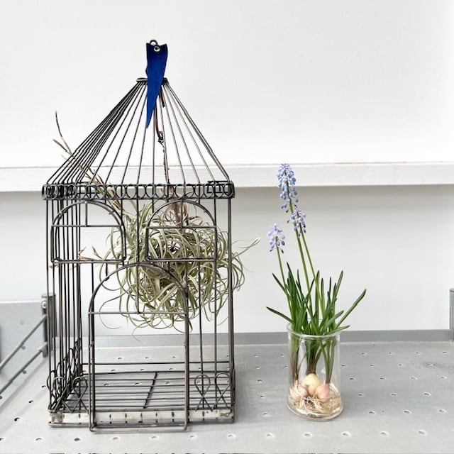 インテリア小物その他 | ihana design(イハナデザイン）