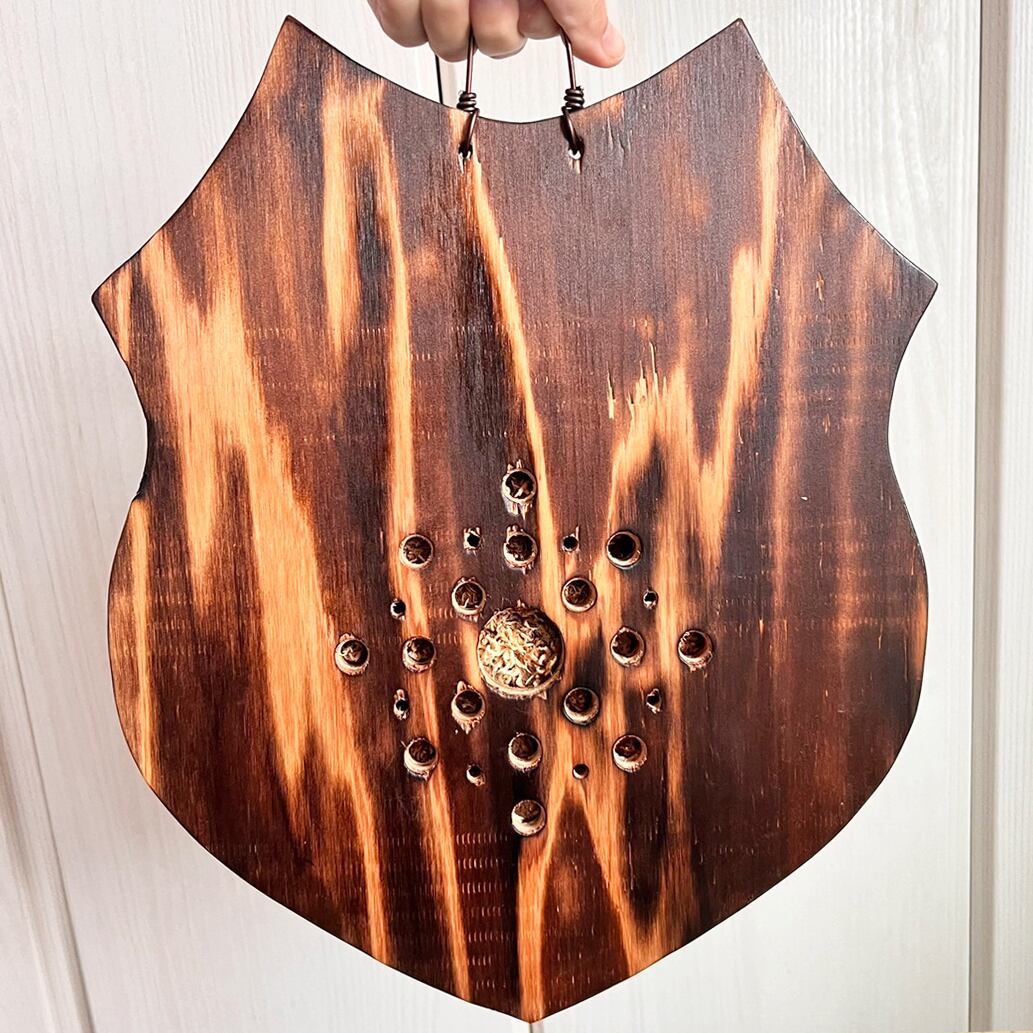 ビカクシダ ネザーランド 大サイズ 板付 【観葉植物 室内 コウモリラン