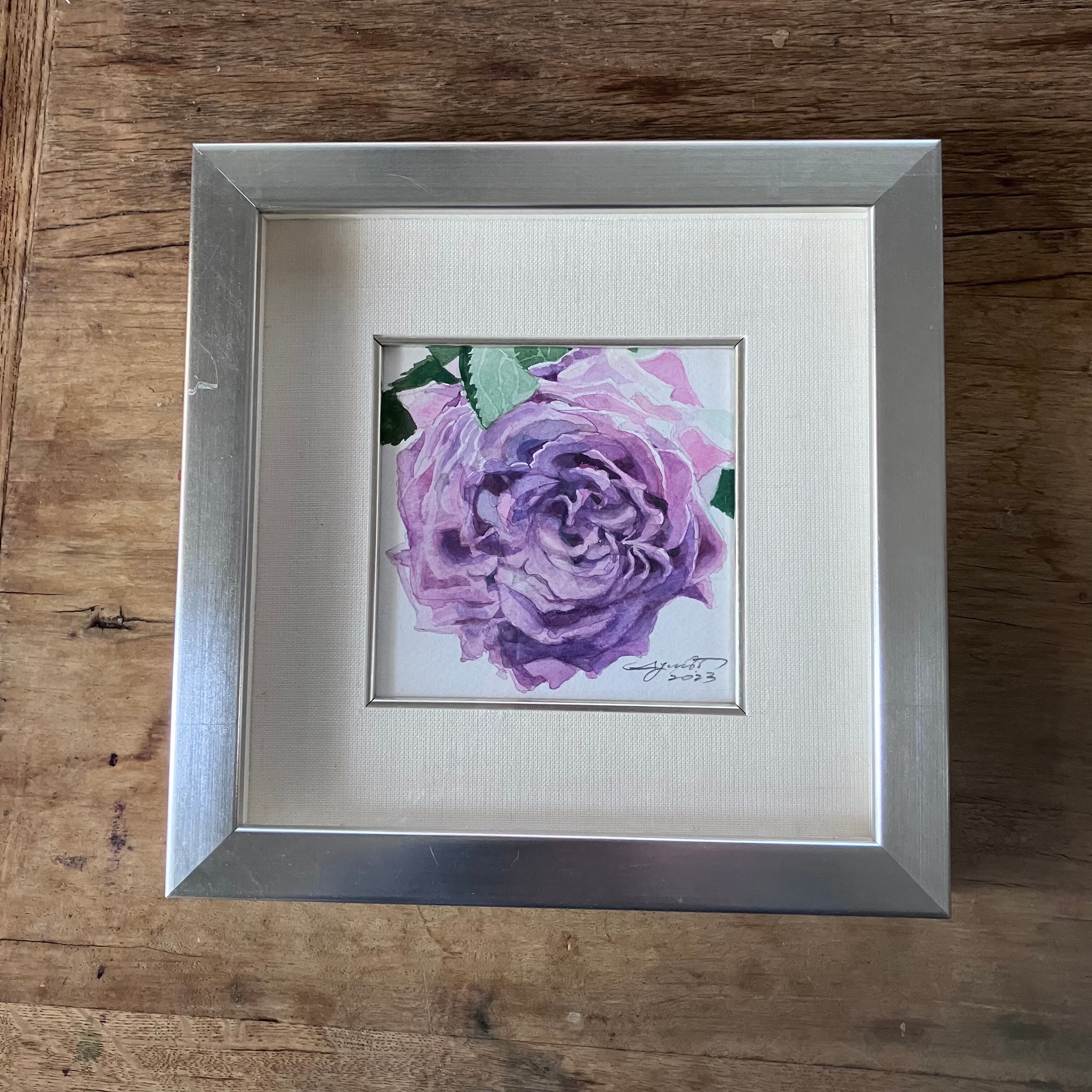薄紫色のバラ1