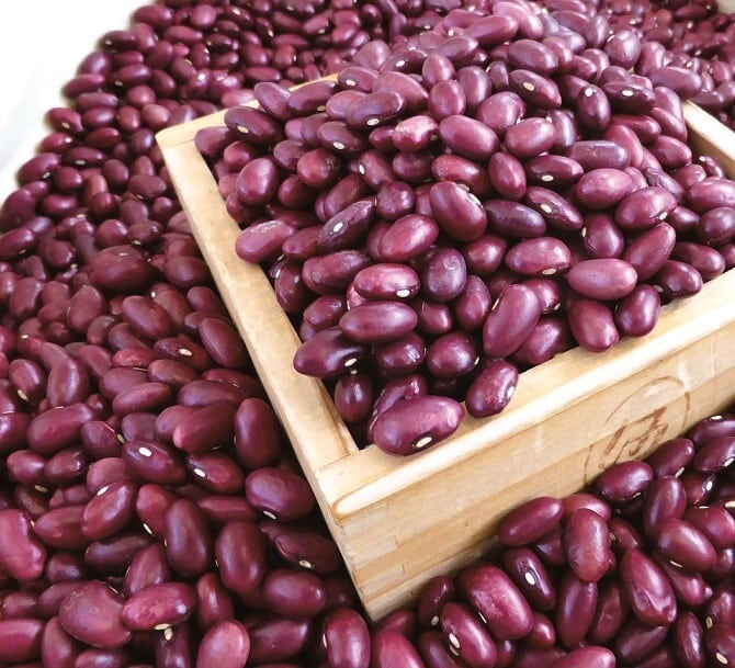 新物】令和7年産北海道十勝産 小豆 1kg | TOKACHI HILLS. shop