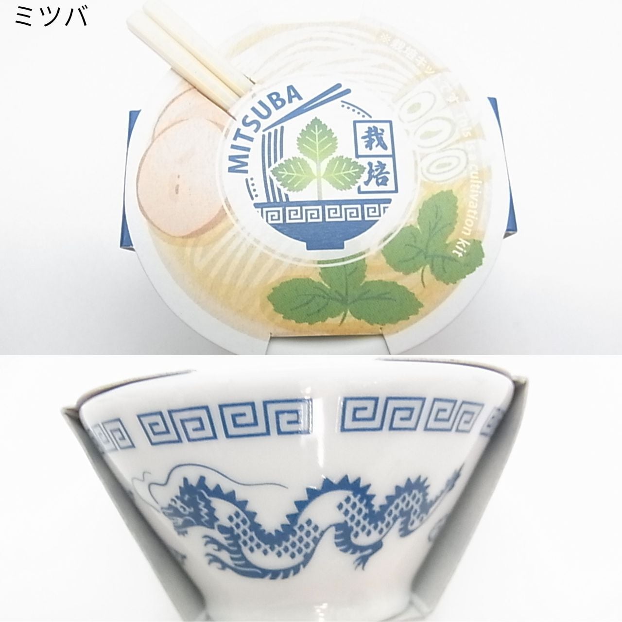 この一杯で育てる。聖新陶芸 ラーメン薬味栽培キット（ミニ鉢・お箸付