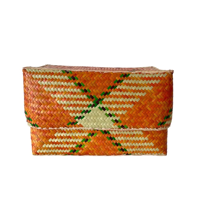 Rectangular colourful basket M w25.5cm×15cm×h15cm四角カラフル蓋付き収納かご