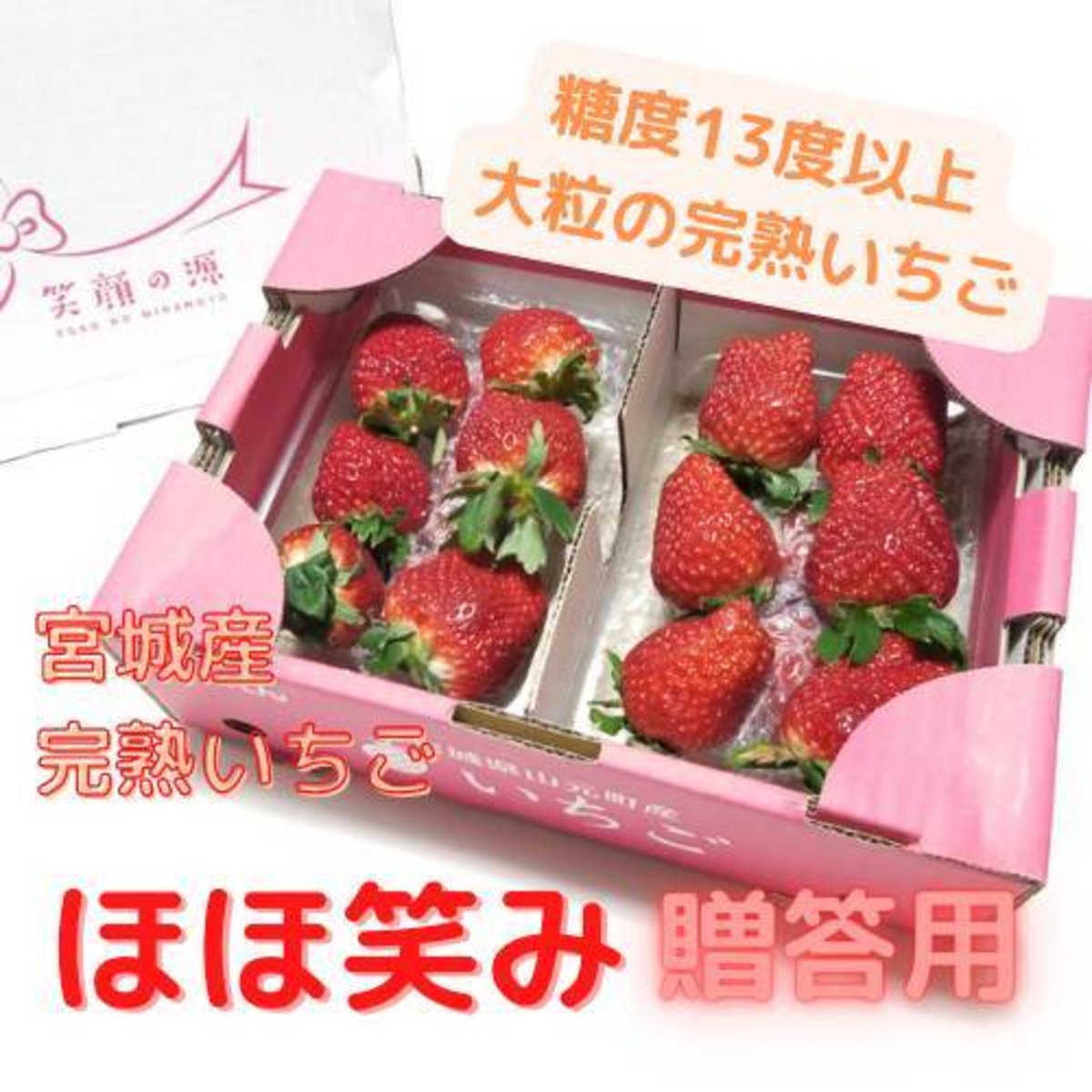 602188d95a597a728e82e9ff2f084b 