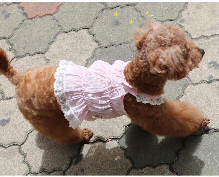 【SALE】romantic lace top S ~ XL 3color / 犬服 春夏 新作 お揃い ドッグウェア 薄手 涼しい タンクトップ 小型犬 中型犬 犬 服 袖なし ペット用品 ペット洋服 top114