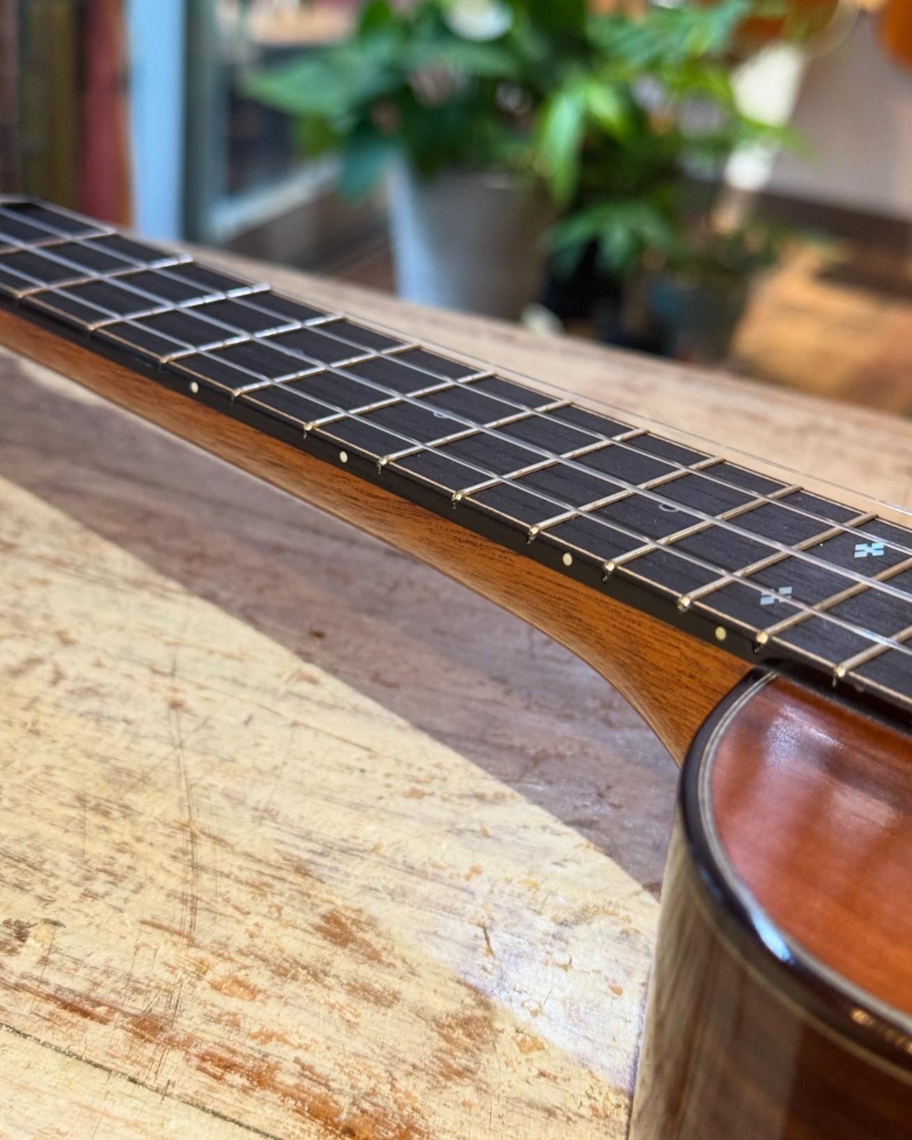Ancestor's Ukulele アンセスターズウクレレ ソプラノ PP381CM Type3