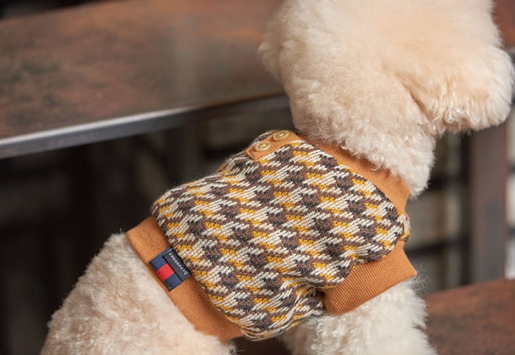 ニットクロップドトップス S ~ 2XL 4color  /  犬服 新作 秋冬 ショート丈 crop top クロップドトップス 小型犬 中型犬 ペット洋服 ドッグウェア ペット用品　b46