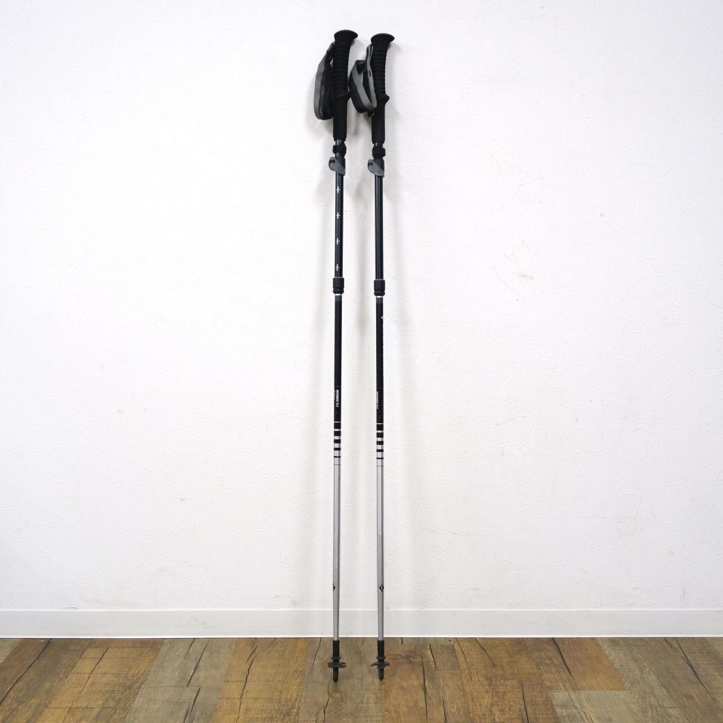 BlackDiamond distance FLZ 2本セット 2本セット Black Diamond
