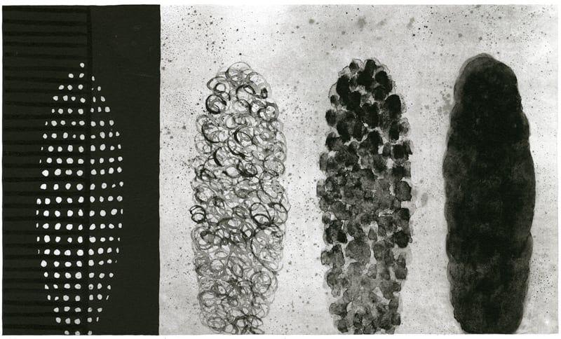 光合成 / Tatsuya Hirata