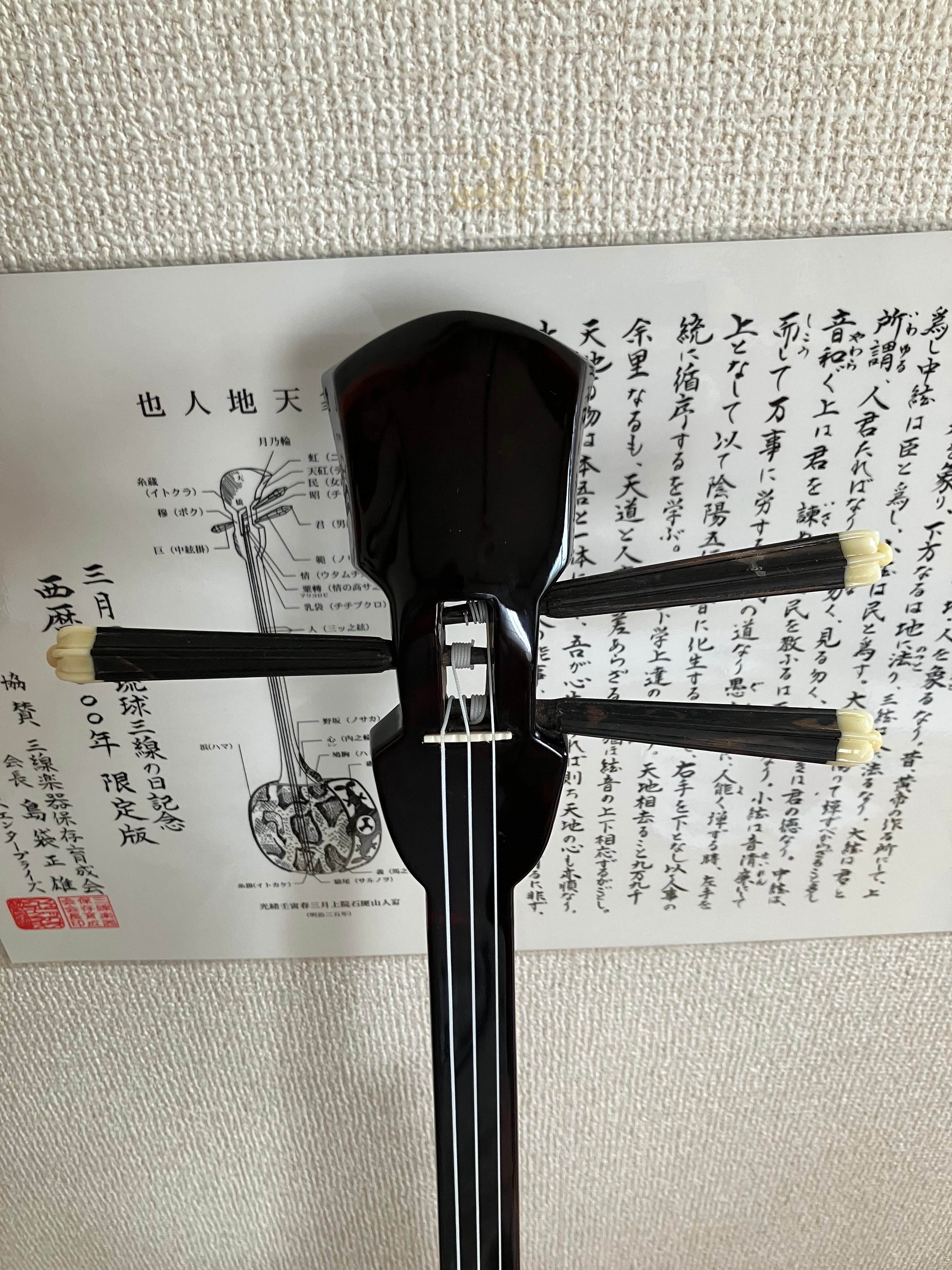 クオレ三線工房えぞ三弦