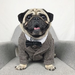 Dog Wear -formal wear-　　dogw-25