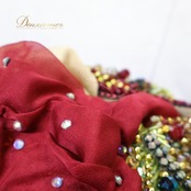 ベリーダンス オリエンタル 衣装 上下セット レッド系 イマンザキ Eman Zaki エジプト製 トップス スカート アーム アーム飾り 腕飾り 赤 緑 レオタード ラインストーン スパンコール 上品 ダンス衣装 イベント ステージ スリット インナーパンツ