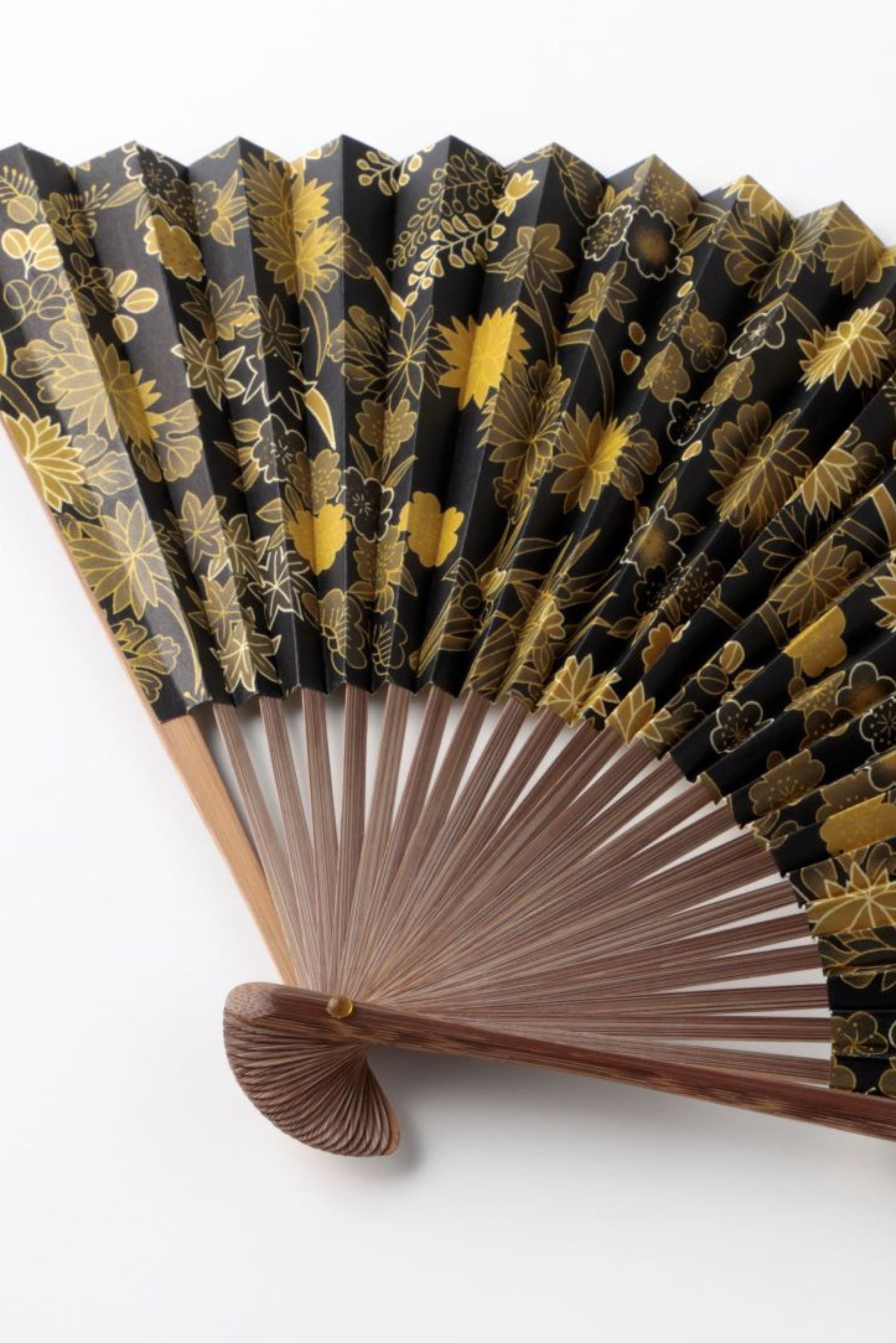 紙扇子】菊に露芝文/Chrysanthemum with Dew Grass Design 漆黒と黄金