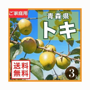 りんご 早期予約 果物 青森県津軽産りんご トキ ご家庭用 ３Kｇ/箱【送料無料】