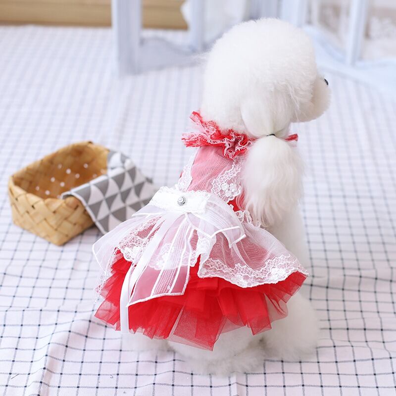 大型犬もOK 白のフリルがアクセントのレッドワンピース