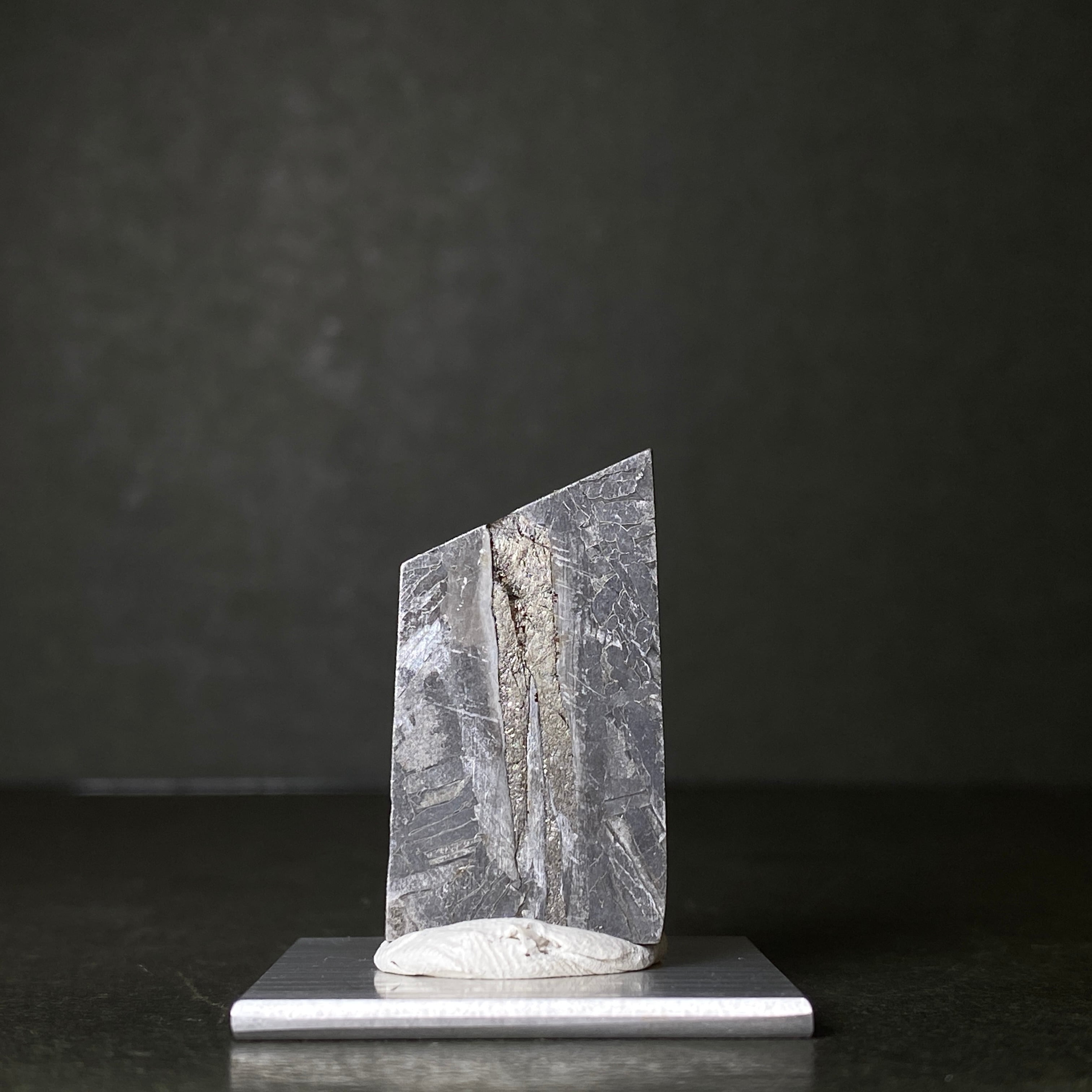 Aletai アルタイ | 【隕石屋】METEOS（メテオス）