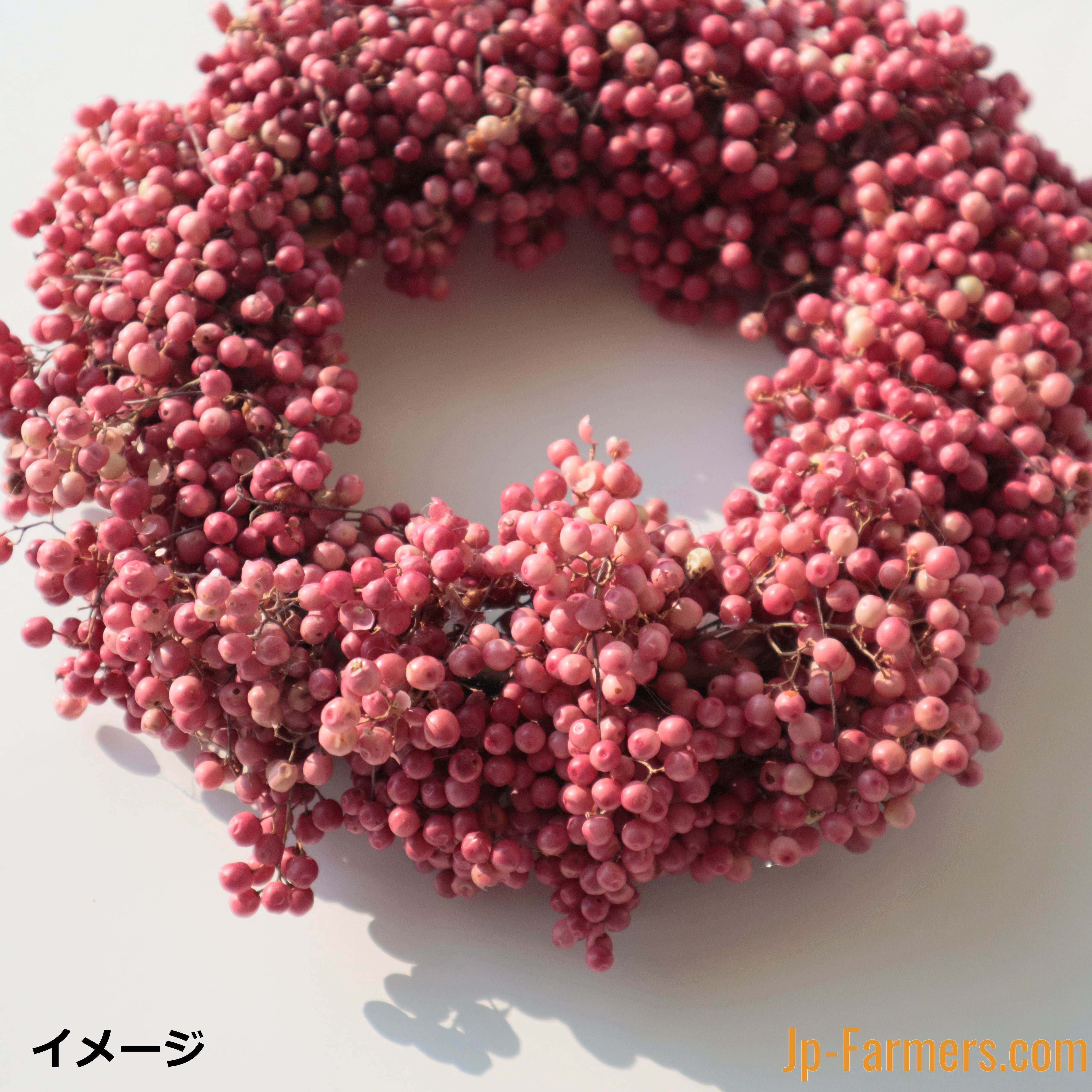 お待たせいたしました。人気の実物。 つぶつぶジュエリー ペッパー