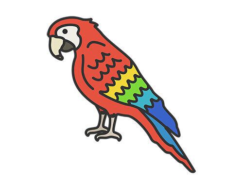 オウム（線画カラー）のイラスト | イラストセンター有料素材販売