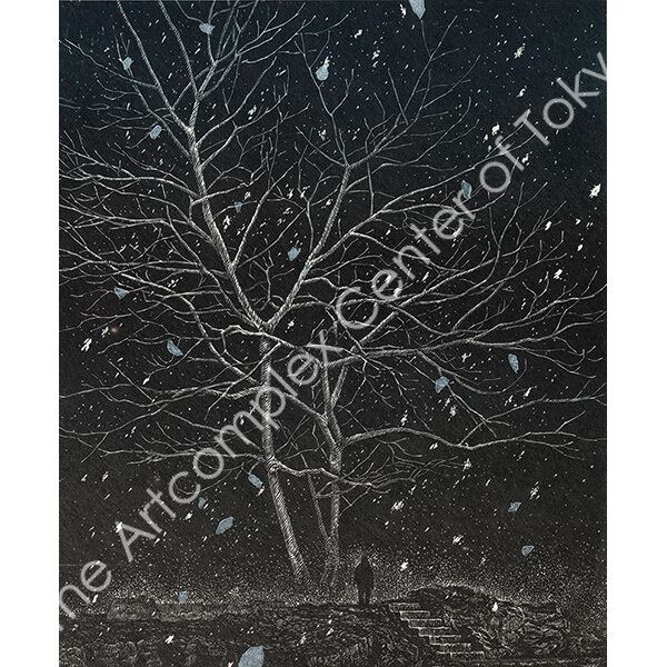 塚田辰樹「木を見にいく」