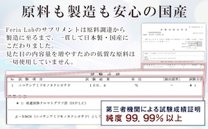 【お得な定期便】DEAZAPLUS 5デアザフラビン(TND1128) plus NMN(30粒×1個)