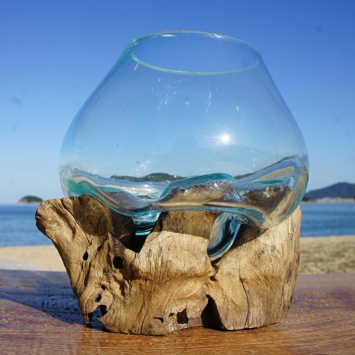 流木ガラス オブジェXSj バリ島 花瓶 金魚鉢 メダカ水槽 テラリウム アート