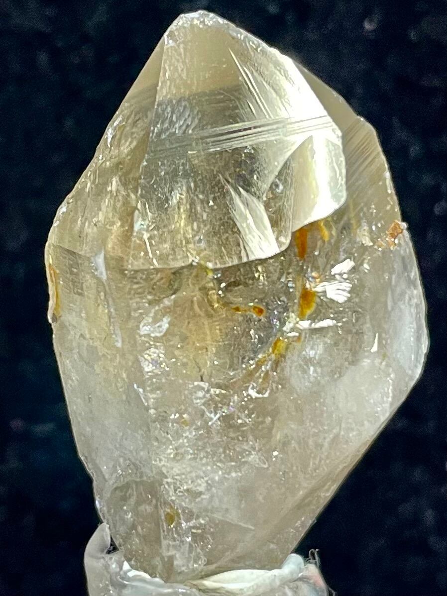 13) ロシアン・レムリアン