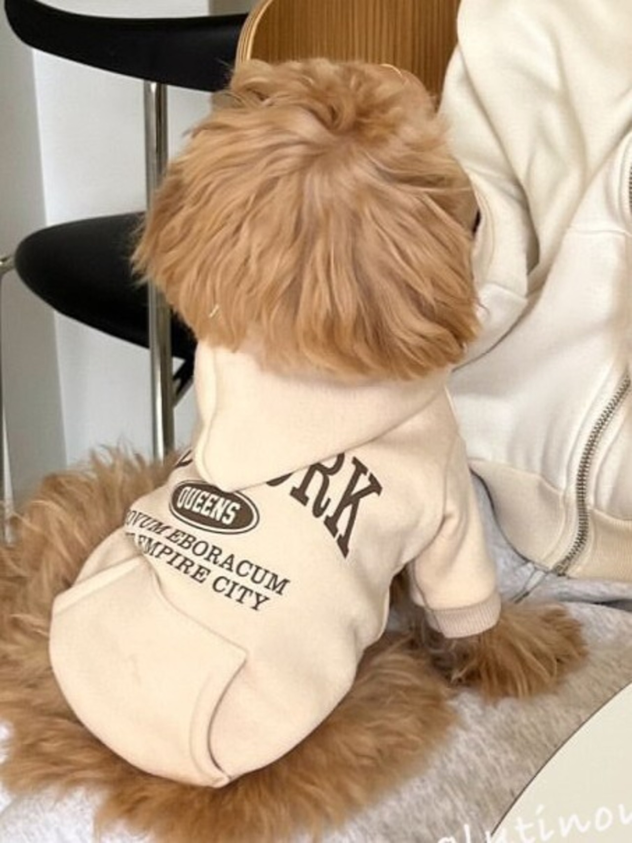 フーディーパーカー