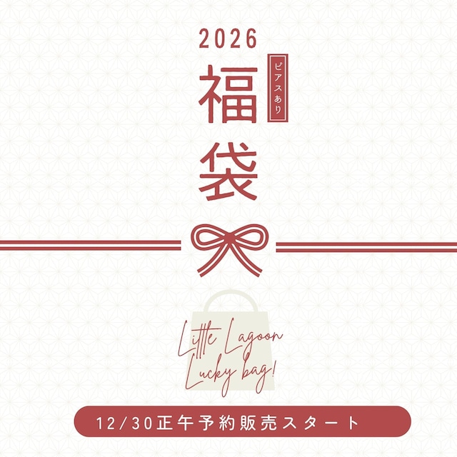 2026年 福袋 ピアスあり 20,260円【送料無料】
